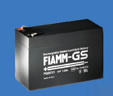 Fiamm2.jpg (17740 bytes)
