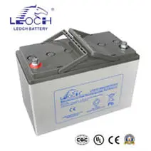 Leoch Battery