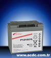 P12V875 model 12V 44 Ah Sprinter Batteries