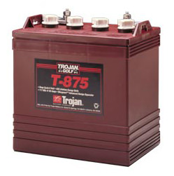 T-875 model 8V 170 Ah Trojan Batteries